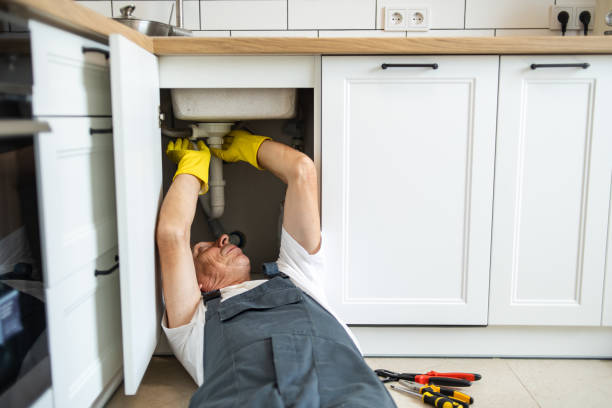 Best Local Plumber Services  in Meridian Hills, IN