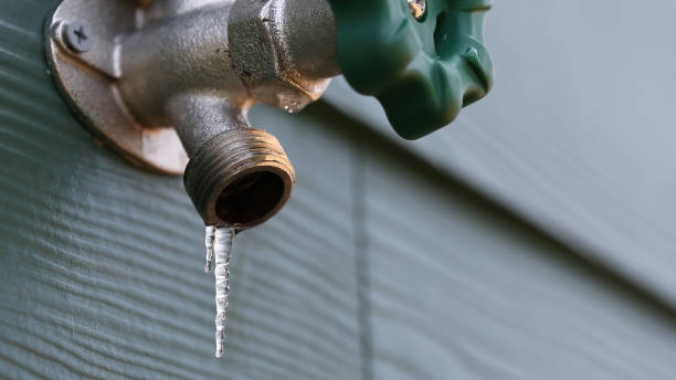 Best Plumbing Services Near Me  in Meridian Hills, IN